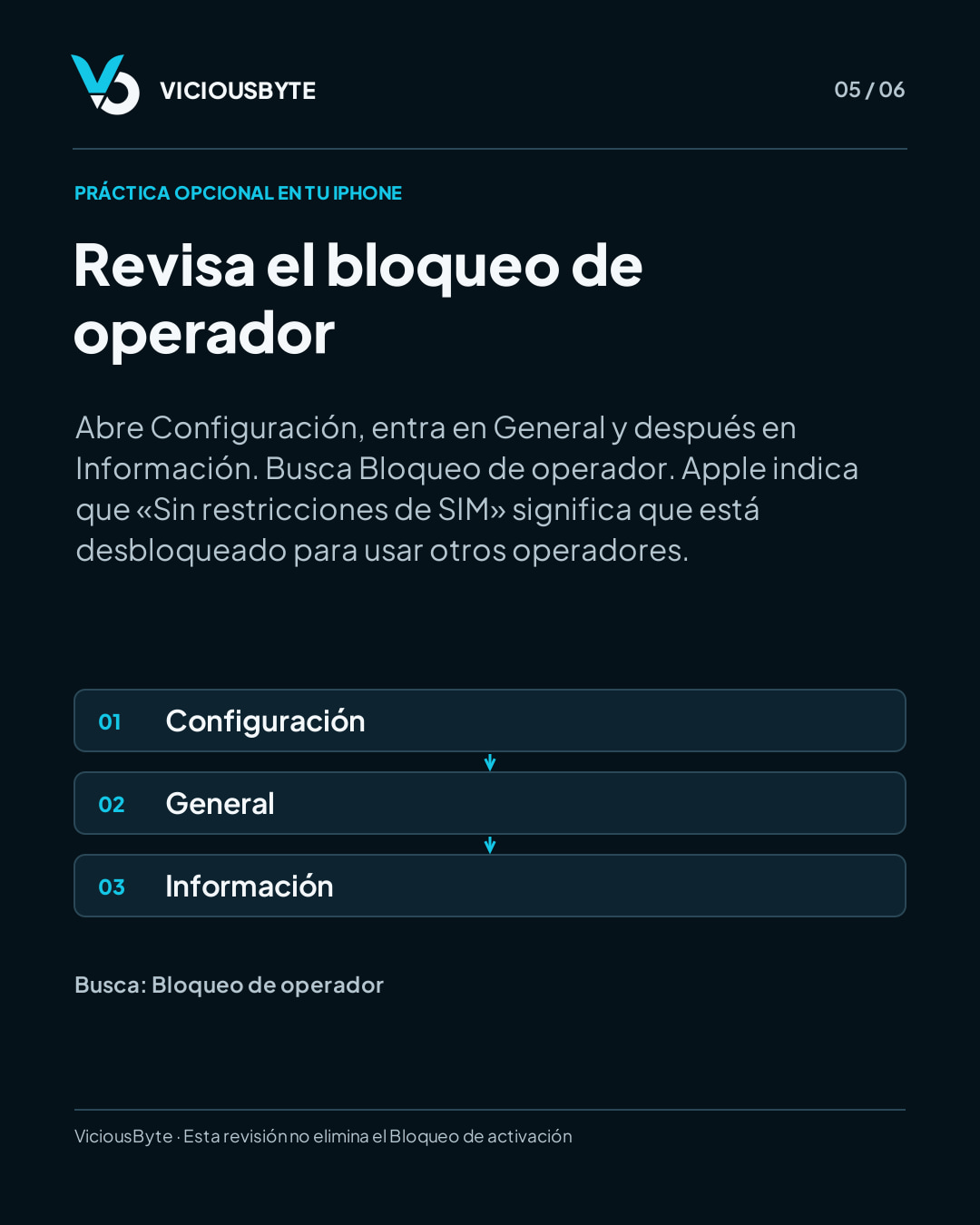 iPhone con bypass: qué ofrecen iRemoval PRO e iRemove Tools y qué revisar — lámina 5