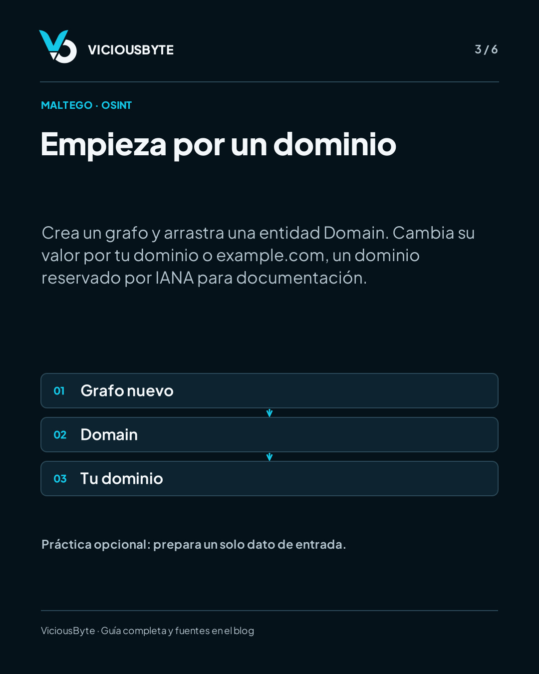 Maltego: convierte un dominio en un mapa que puedas explicar — lámina 3